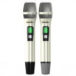 Cặp micro không dây Paramax WM-1800 
