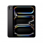 Máy tính bảng iPad Pro M4 11 inch WiFi 256GB 