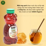 Mật Ong Honey Bear Kirkland Hữu Cơ tinh khiết nguyên chất 680g