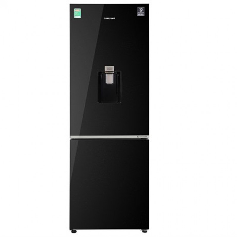 Tủ lạnh Samsung Inverter 307 lít RB30N4190BU/SV